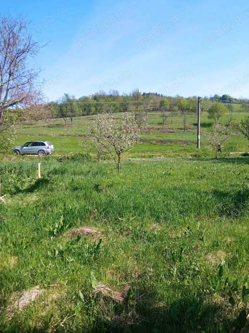 Teren intravilan certejul de jos