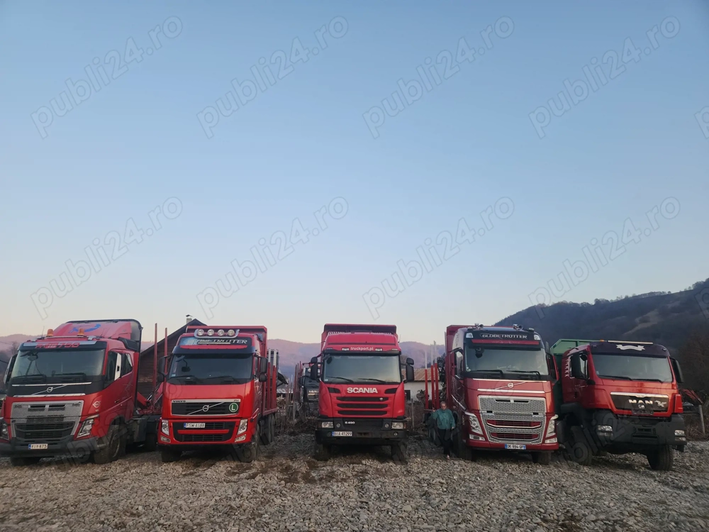 Volvo fh12,  transport lemn, busteni