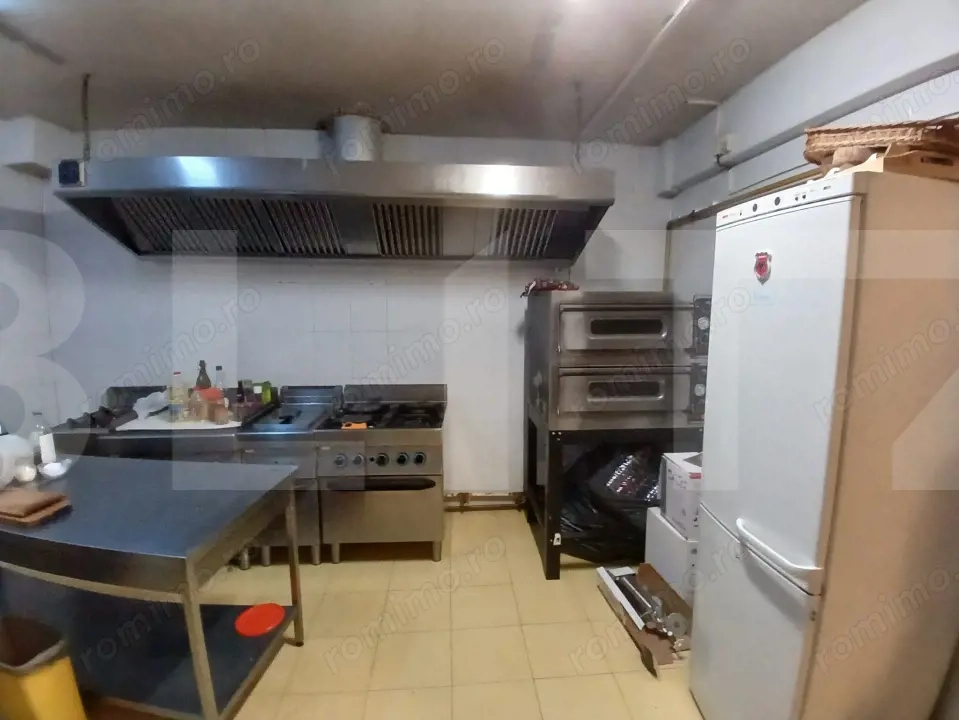Pensiune 14 camere cu bai proprii si intrari separate, 500 mp, zona Mehala