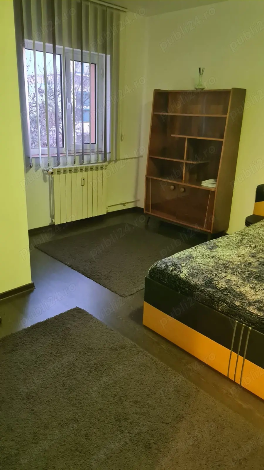 Garsoniera strada Paltinis