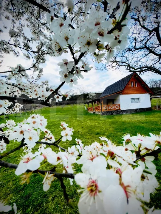 Cabană cu livadă și panoramă superbă – Refugiu în natură, Blaj