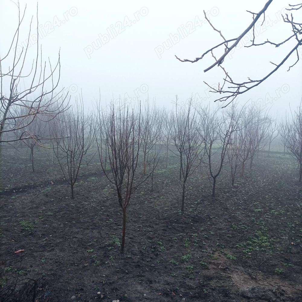 Proprietar vând casă com Ceptura de Jos judetul Prahova