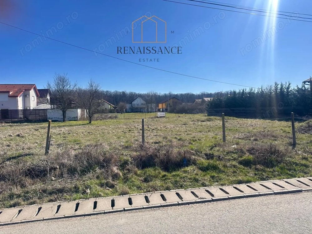 Dumbravita Teren Intravilan 1466mp Front 29m | Langa Padure