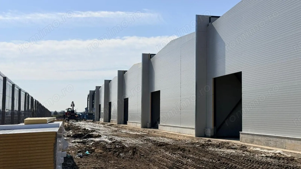 7 hale noi 2026 Afumati- Petrachioaia