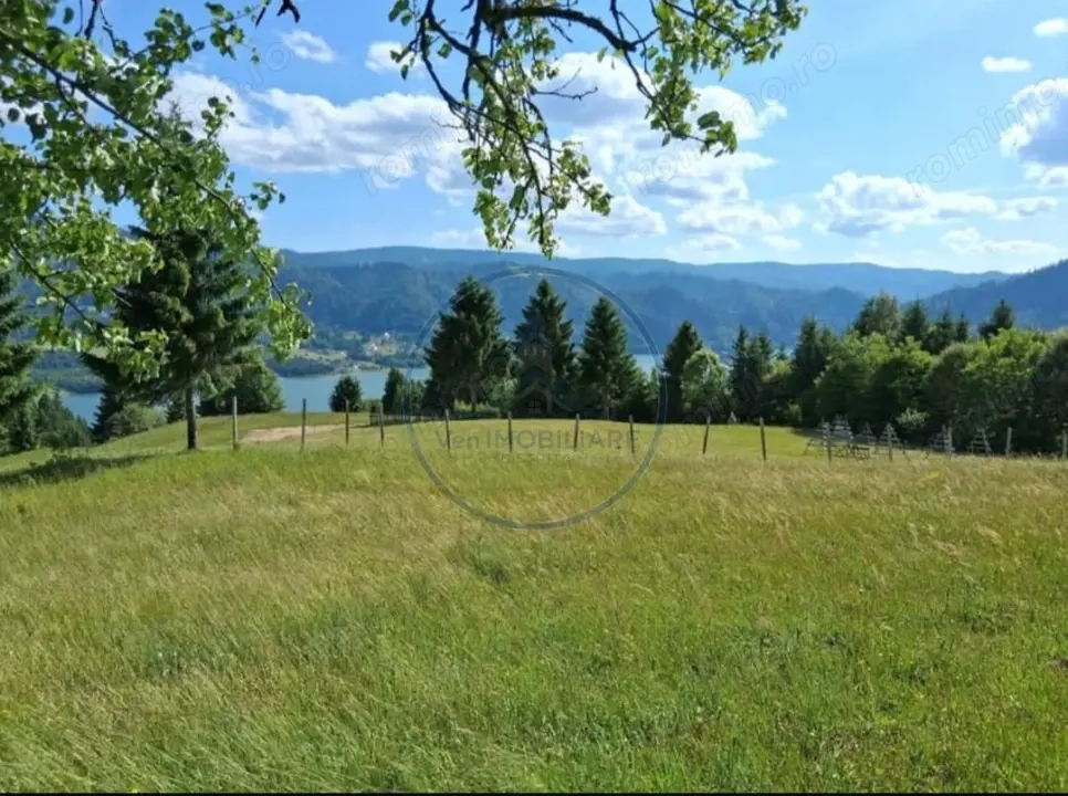 Teren Colibita 1346 mp 