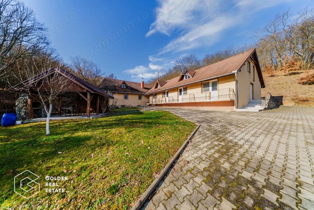 Proprietate pretabila pentru afacere, Cladova