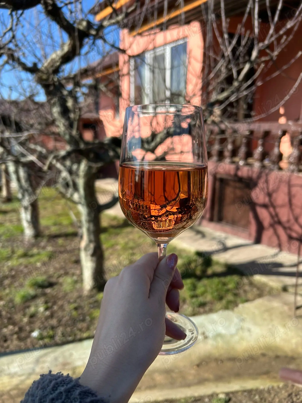 Vând vin de Drăgășani 