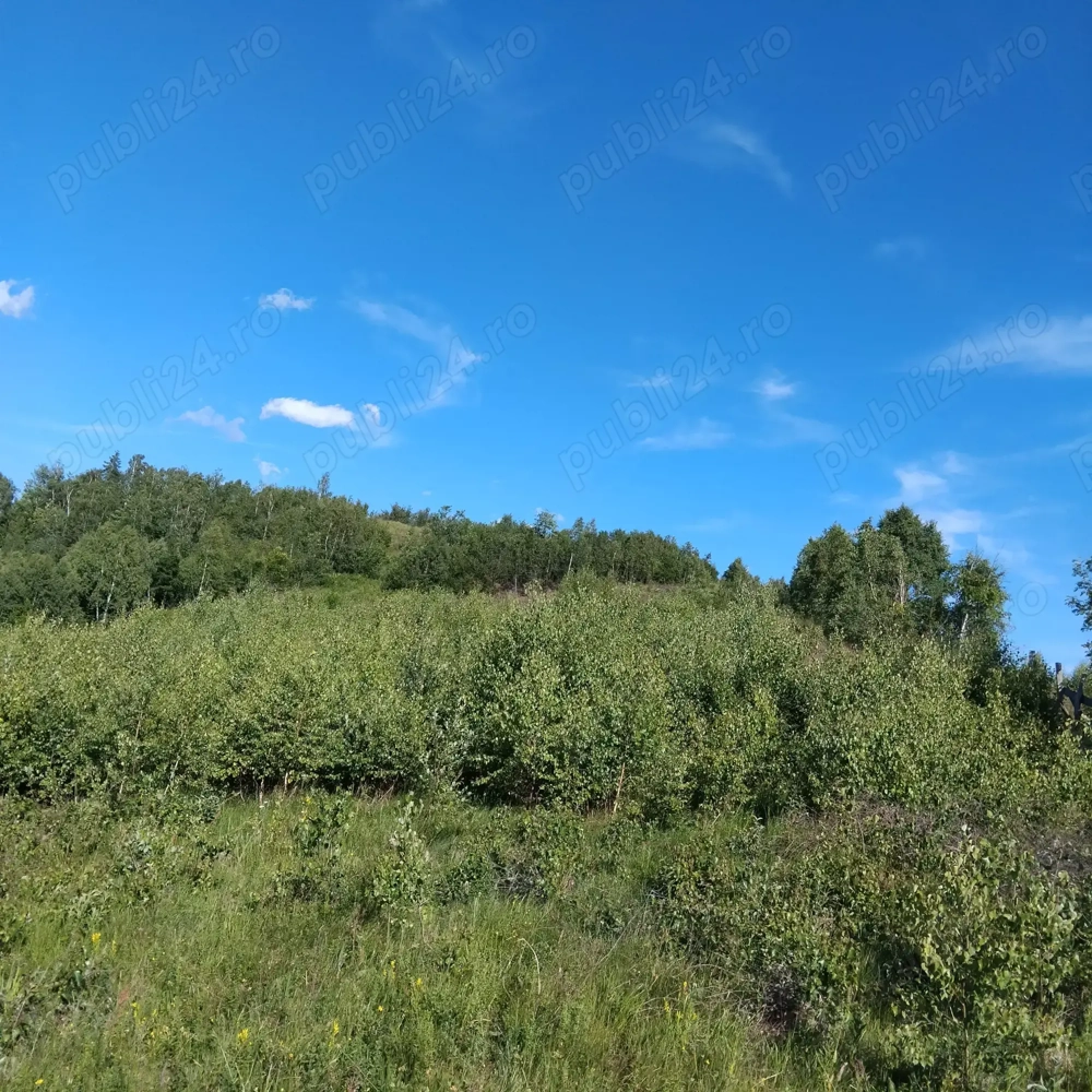 Vand 2 parcele de teren