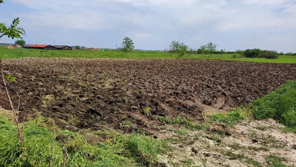 teren de vinzare in Socodor 