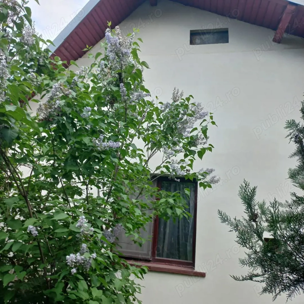 Vand casa si curte spatioase de 400 mp, cu multa verdeata,situate intr-o zona linistita!