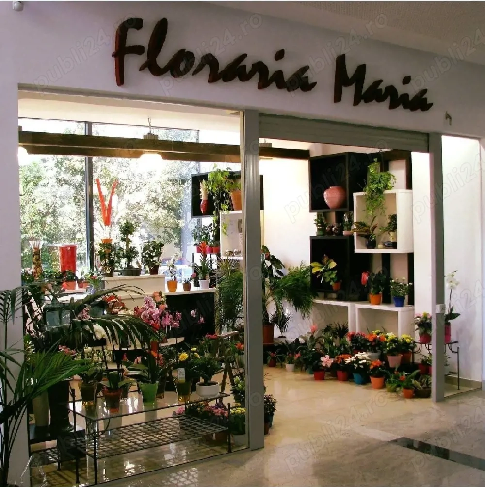 vand afacere la cheie iasi, florarie