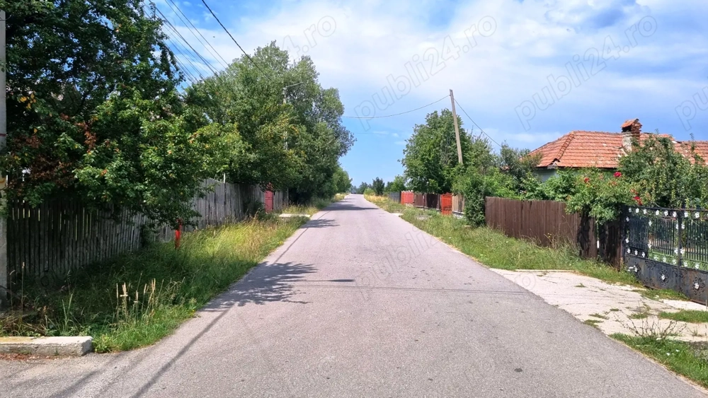 Vanzare Teren  5700MP Campul Lung  