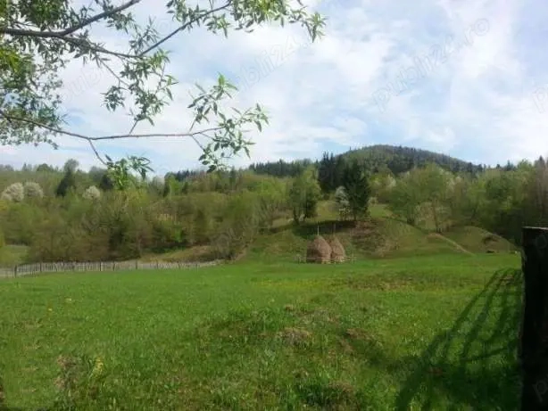Teren extravilan, 21.784 mp - Zona Sălătruc, jud. Suceava