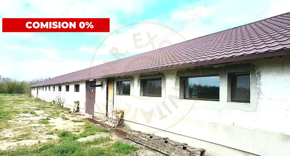HALĂ INDUSTRIALĂ CU TEREN GENEROS  DE VÂNZARE – DB, CĂTUNU (TVA inclus)
