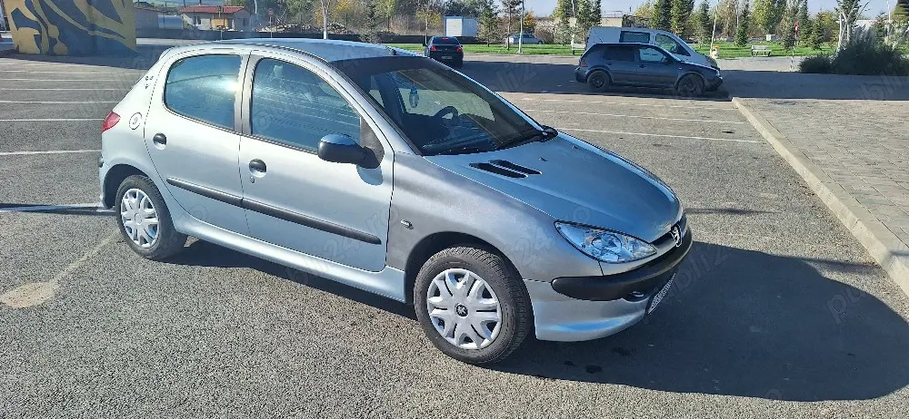 Vand Peugeot 206