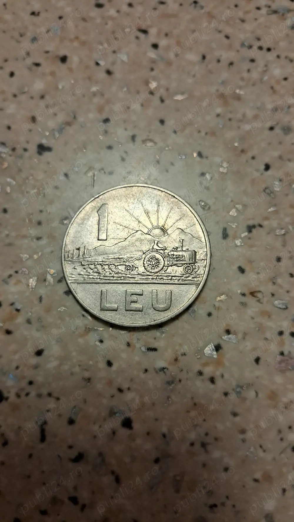 Moneda de 1 leu, Romania din 1966