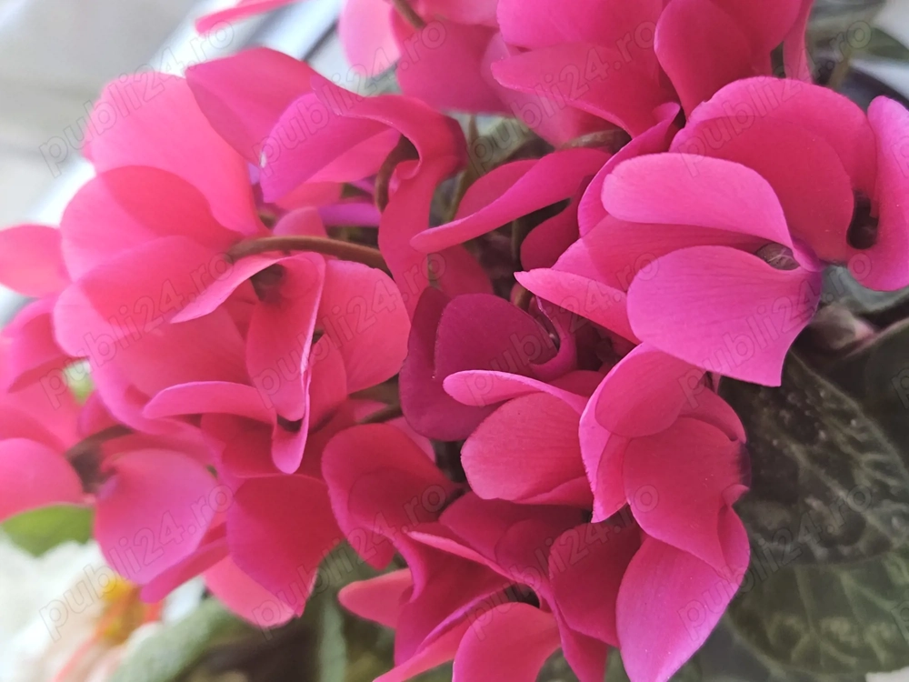 Caut de munca pentru acasa sau telemunca