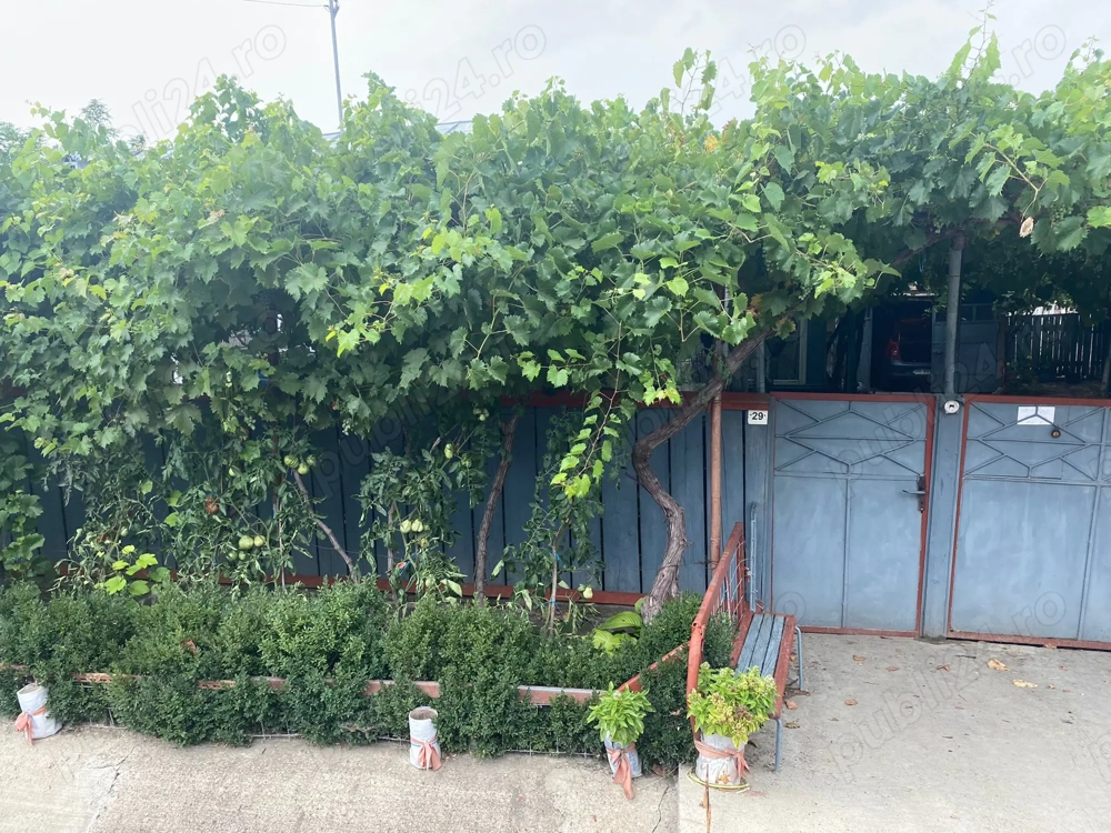 Casa cu teren Sihleanu