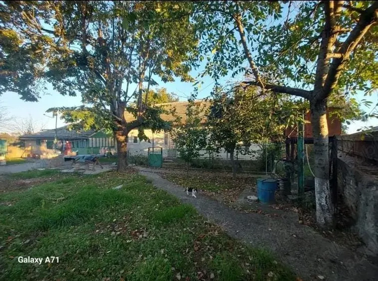 CASA batraneasca SATU NOU jud Tulcea 