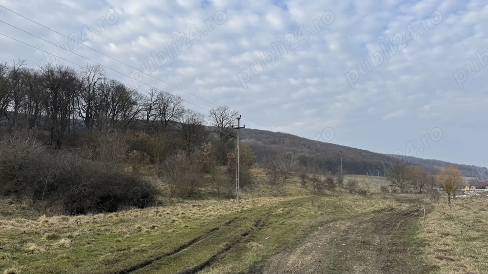 Teren intravilan de vanzare in Corunca