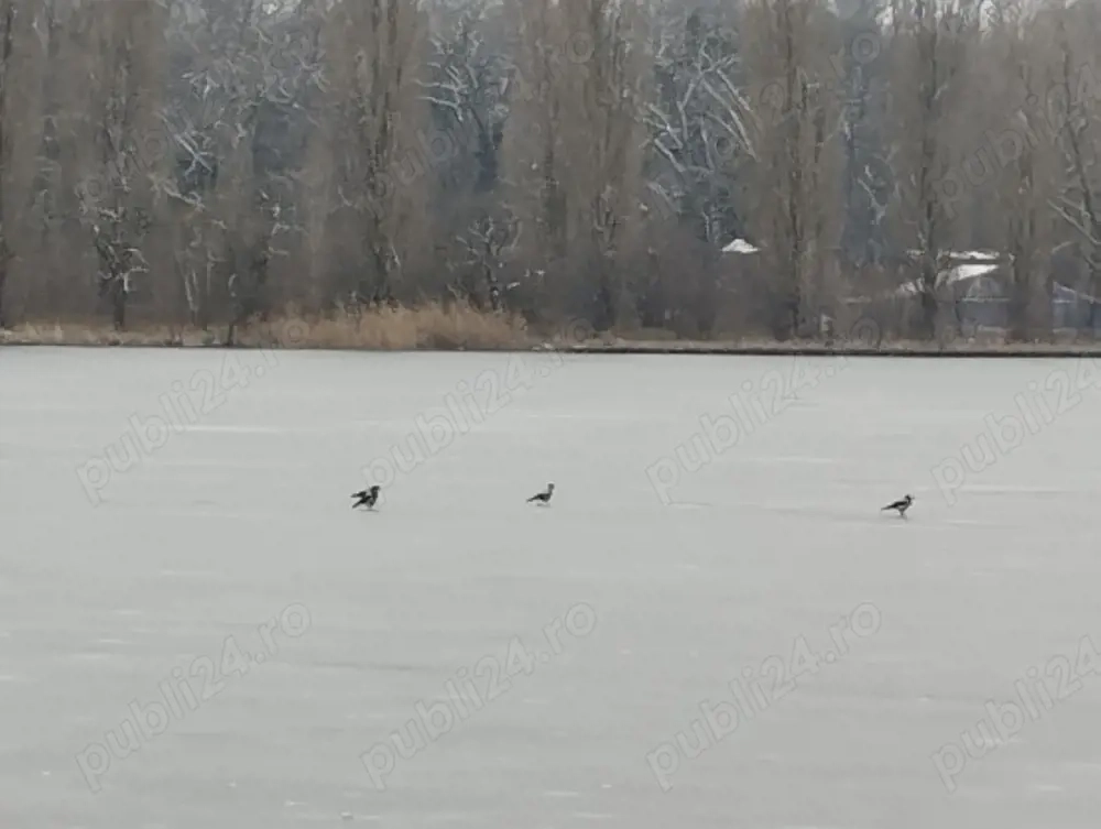 *Vanzare apt 3 camere Snagov