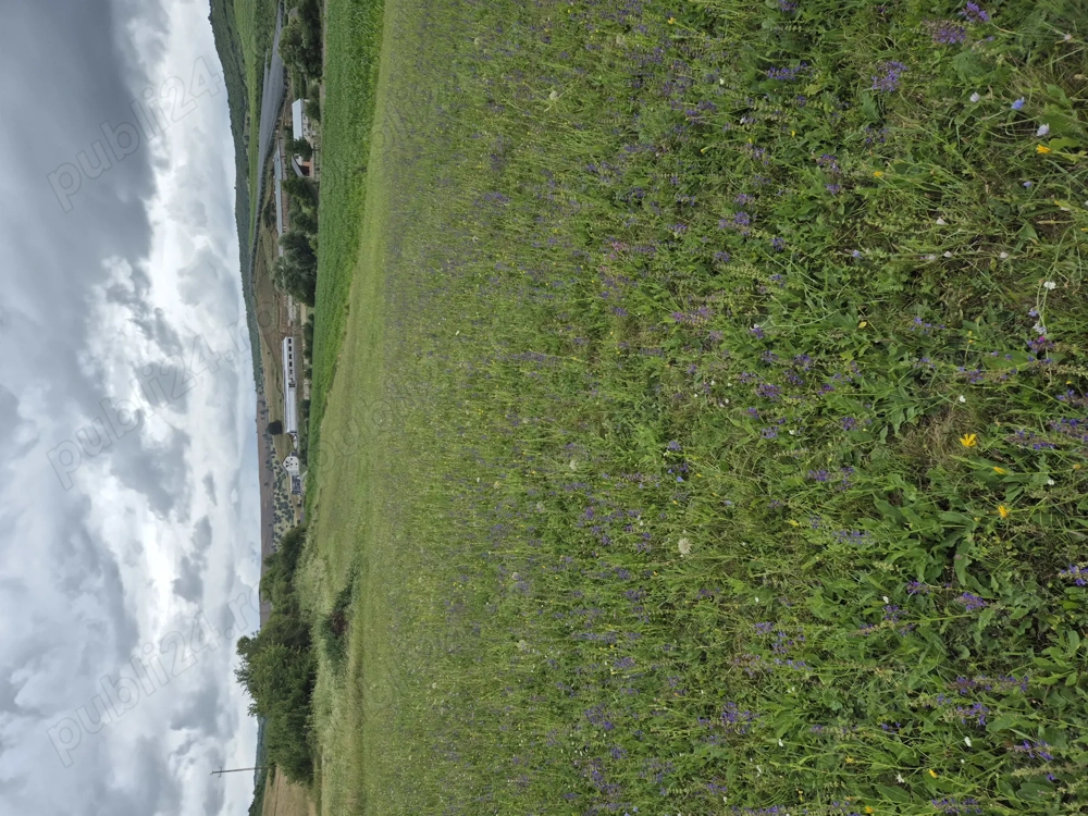 De vanzare teren extravilan în localitatea Jelna, la 6 km de Bistrita