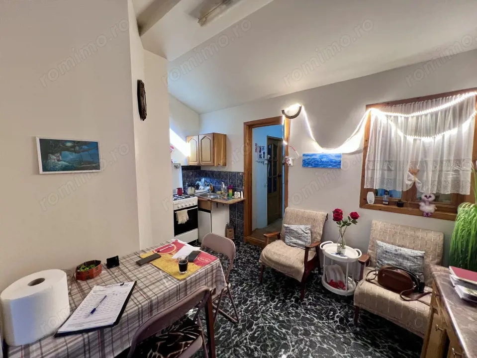  Apartament 2 camere, curte comuna, 50 mp - Zona Iosefin