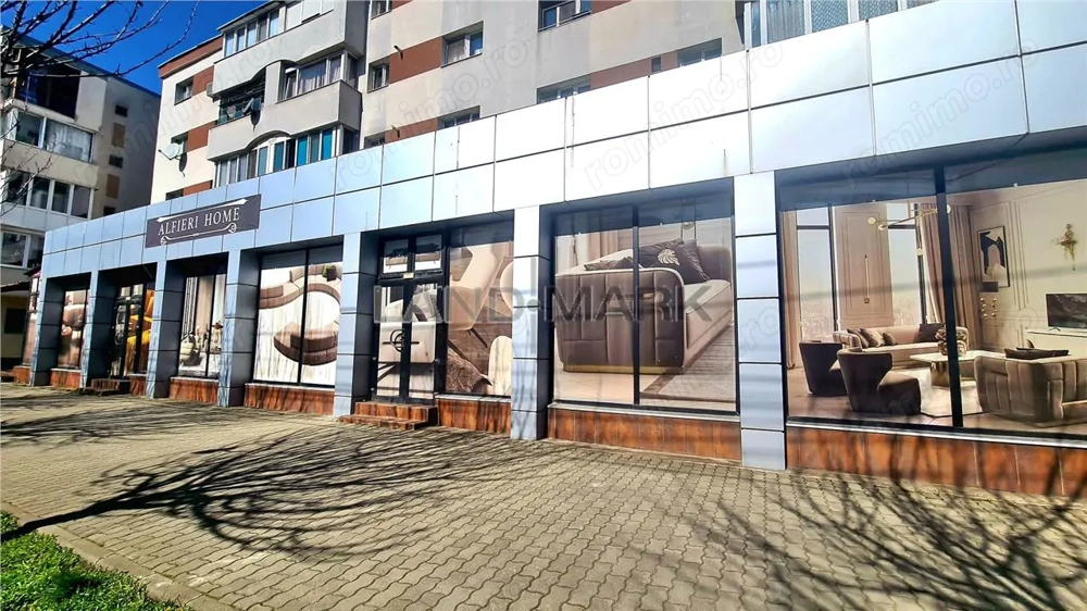 Spatiu de inchiriat, 485 mp Timisoara Sagului