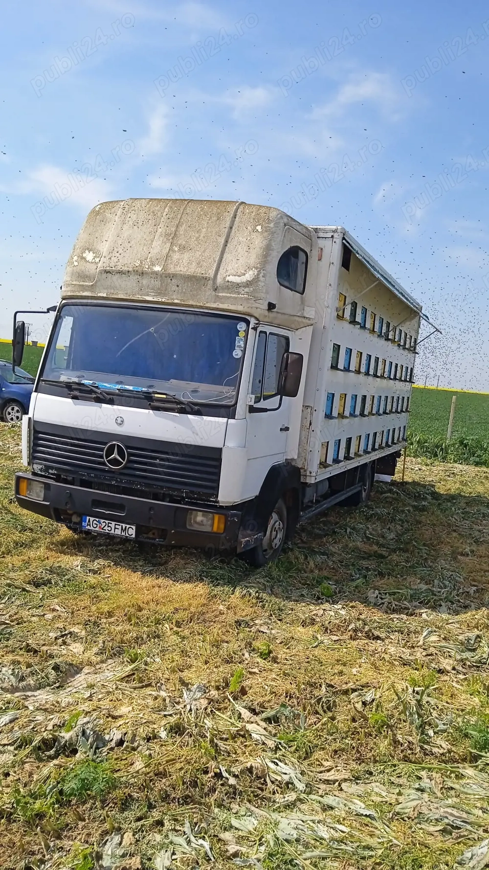 Vând camion omologat apicol, marca Mercedes-Benz