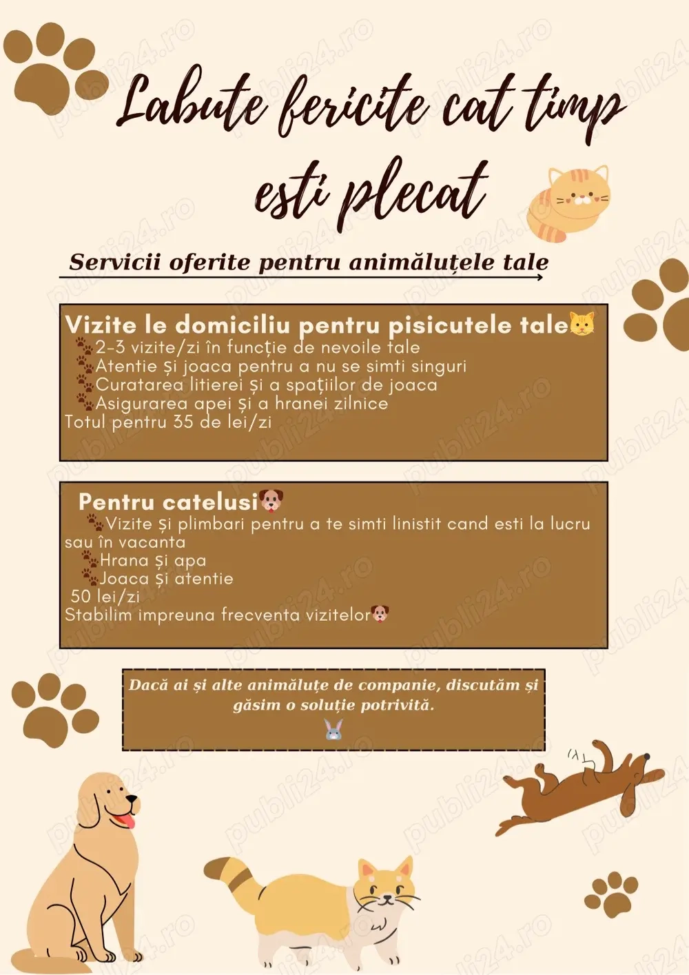 Pet Sitter Brasov 