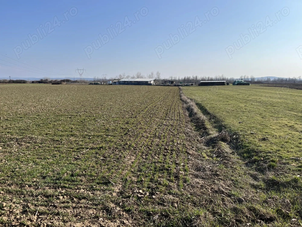 Teren intravilan Fughiu în direcția Husasau de Cris