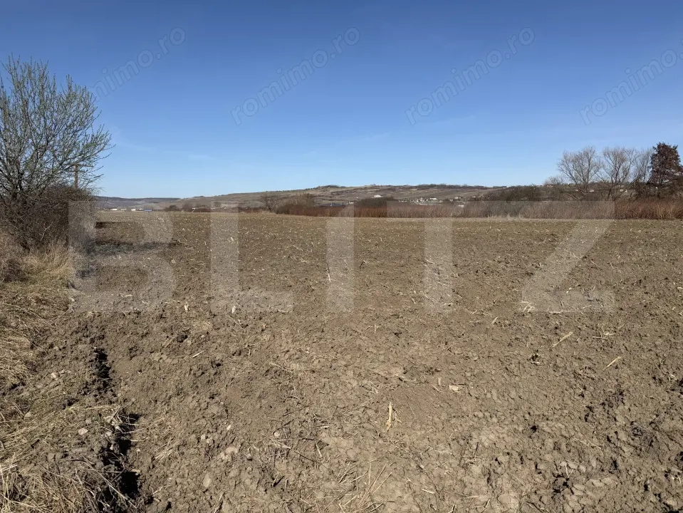 Teren extravilan in suprafata de 4000 mp in loc. Hereclean