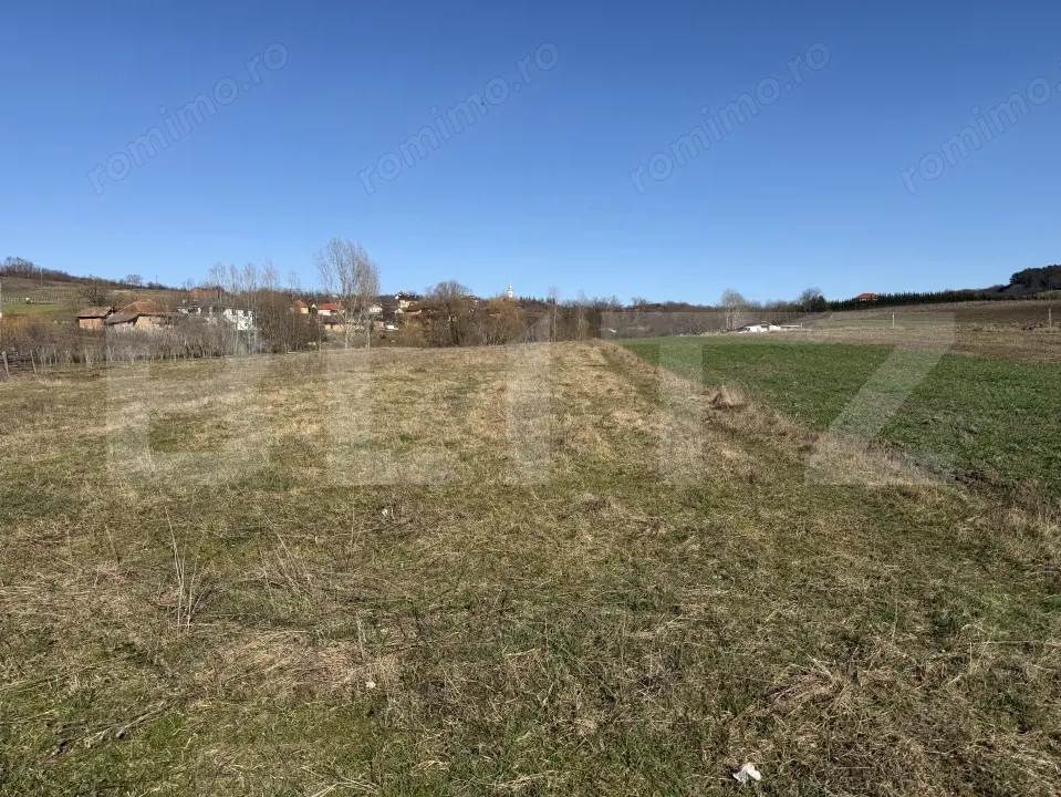 Teren intravilan in localitatea Hereclean in suprafata de 2900 mp