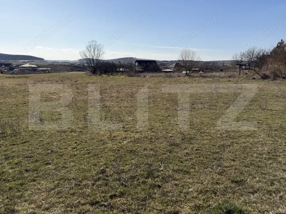 Teren intravilan in localitatea Hereclean in suprafata de 5800 mp