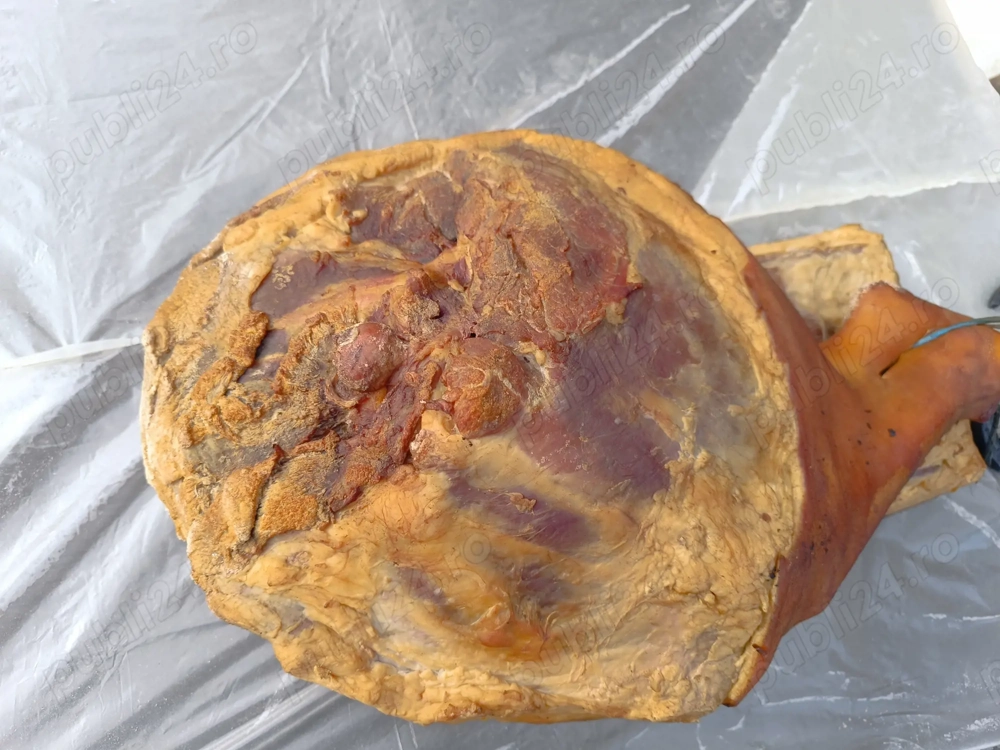 Sunca afumata si slanina 