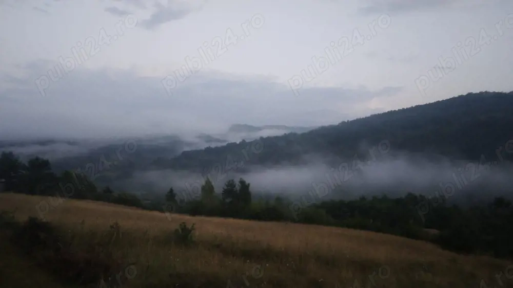 Teren cu Livadă pentru cabană 