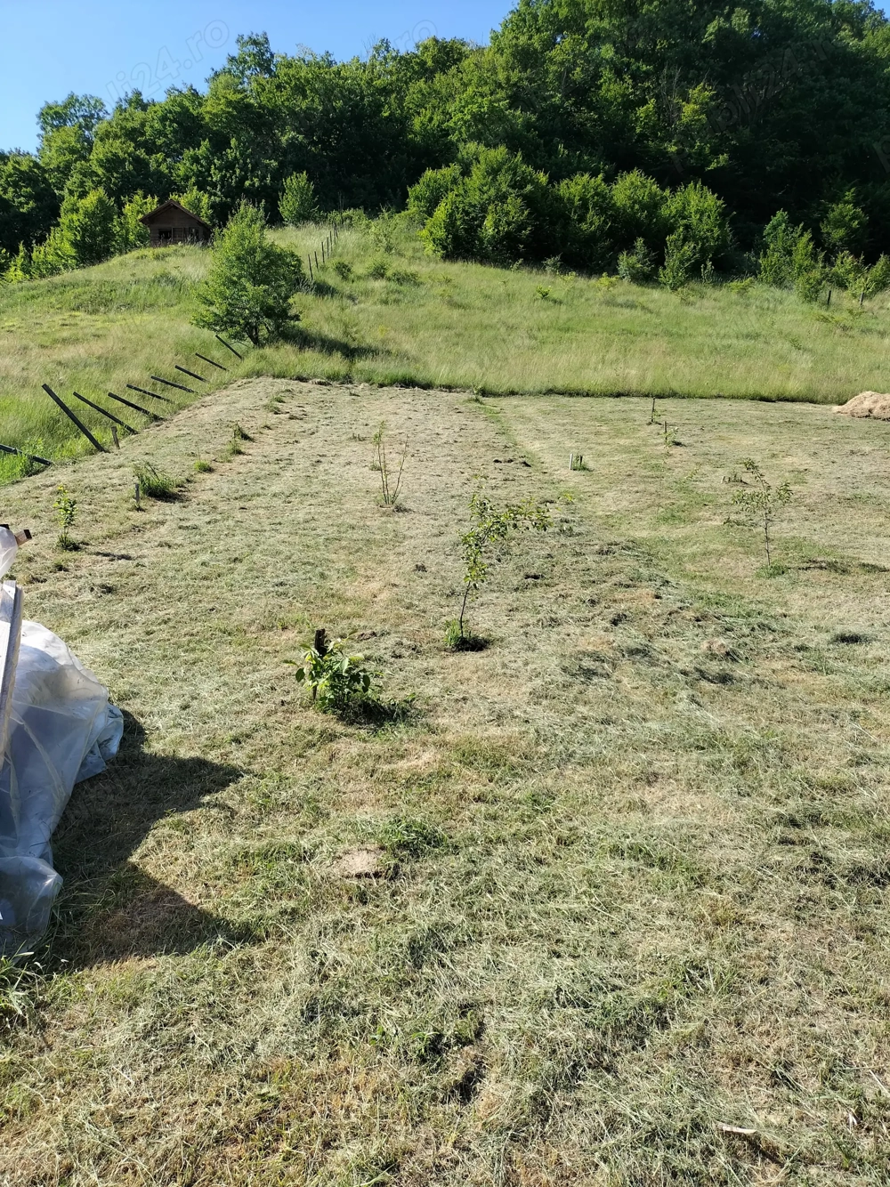 Vînd teren intravilan în Viile Dejului 30 arii