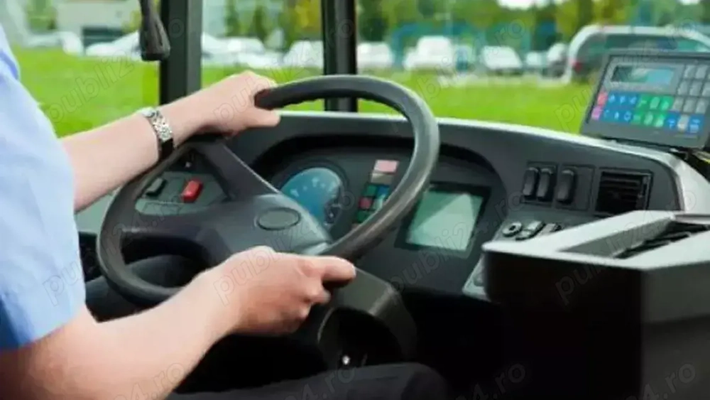 Angajam sofer autobuz, categoria D