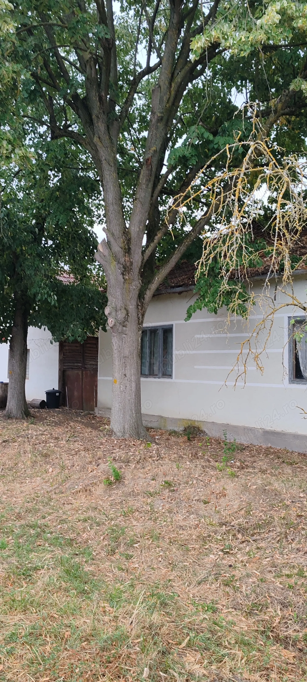 Casa la pret de teren 3950 m2 intravilan 100%