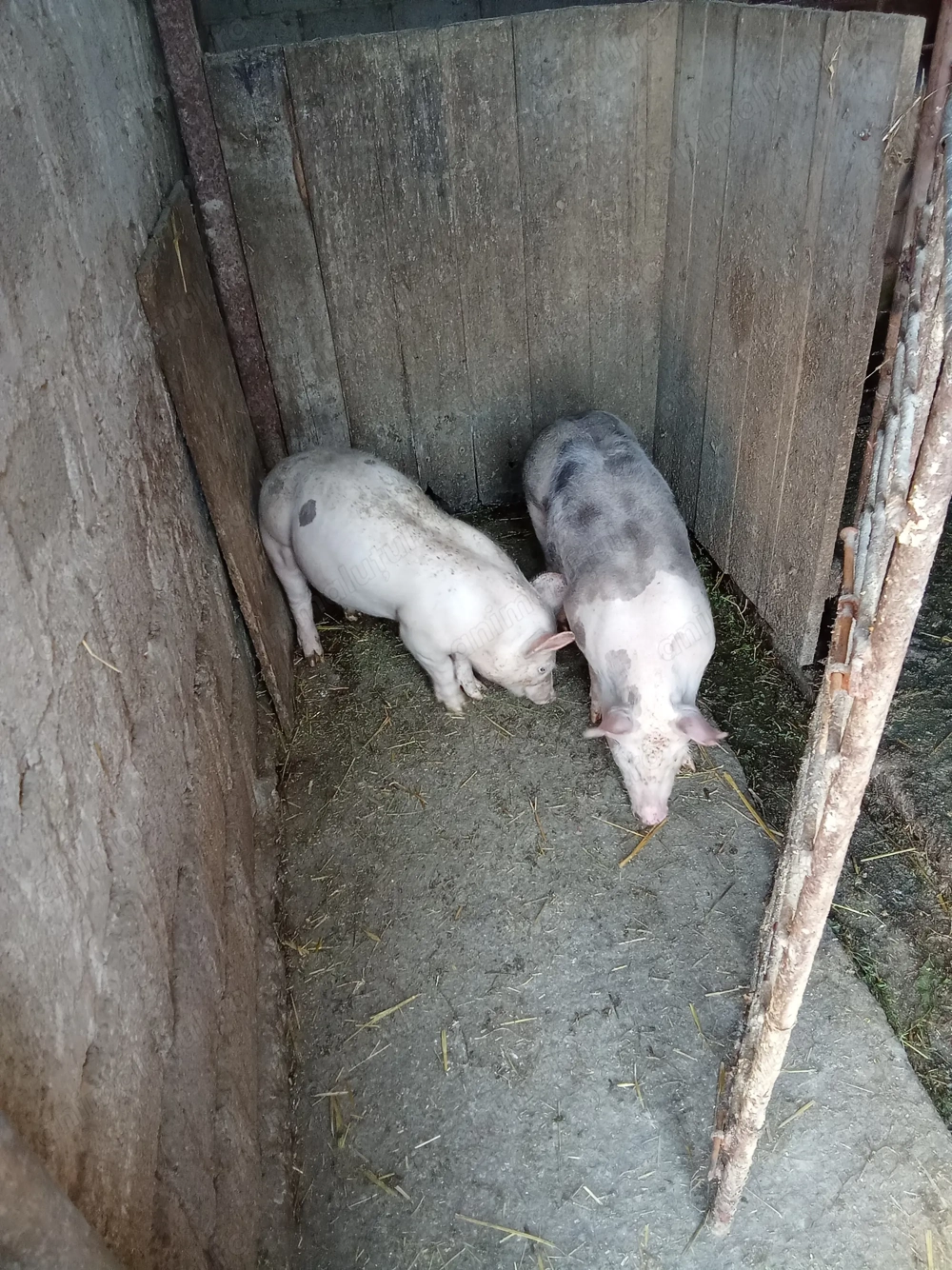 De vânzare Urechești gorj