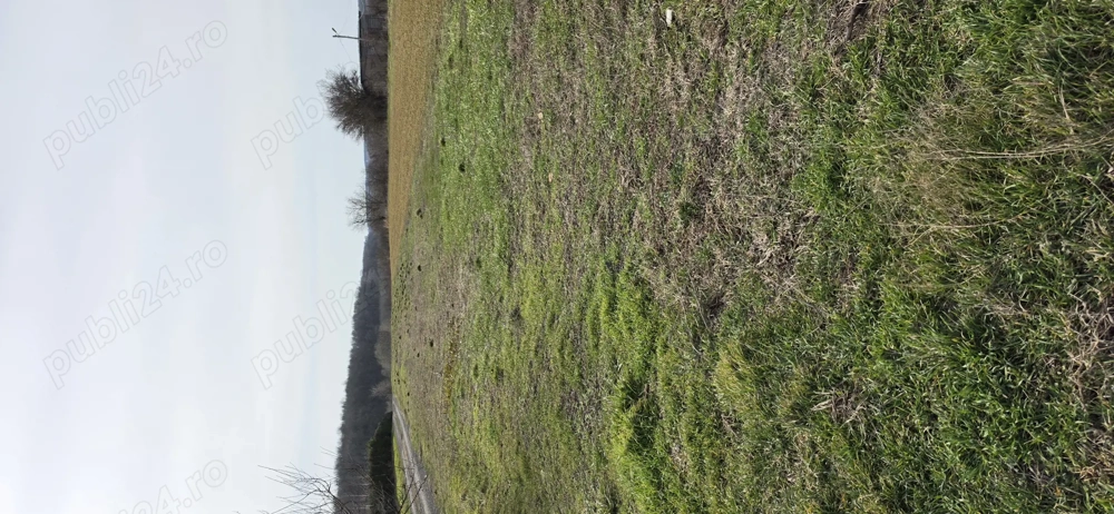 Teren Calugareni, jud. Giurgiu, intravilan arabil, 1235 mp