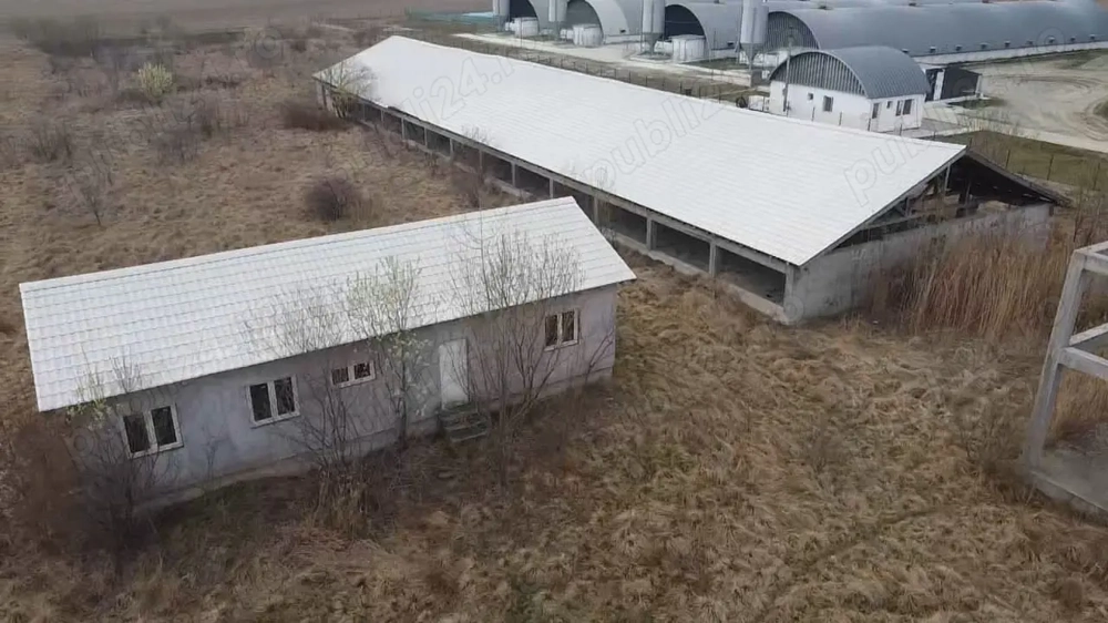 Fermă creștere porcine