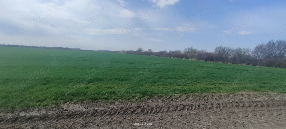 Teren intravilan industrial Aradului de vânzare 