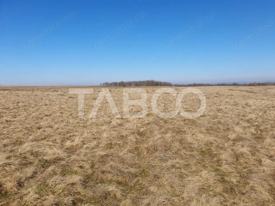 Teren de vanzare in zaona extravilanului comunei Recea 600 mp