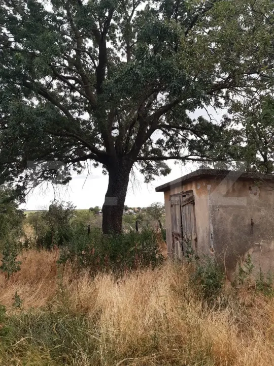 Casa P+1 renovabila, 1008 mp de teren, Sarbatoarea