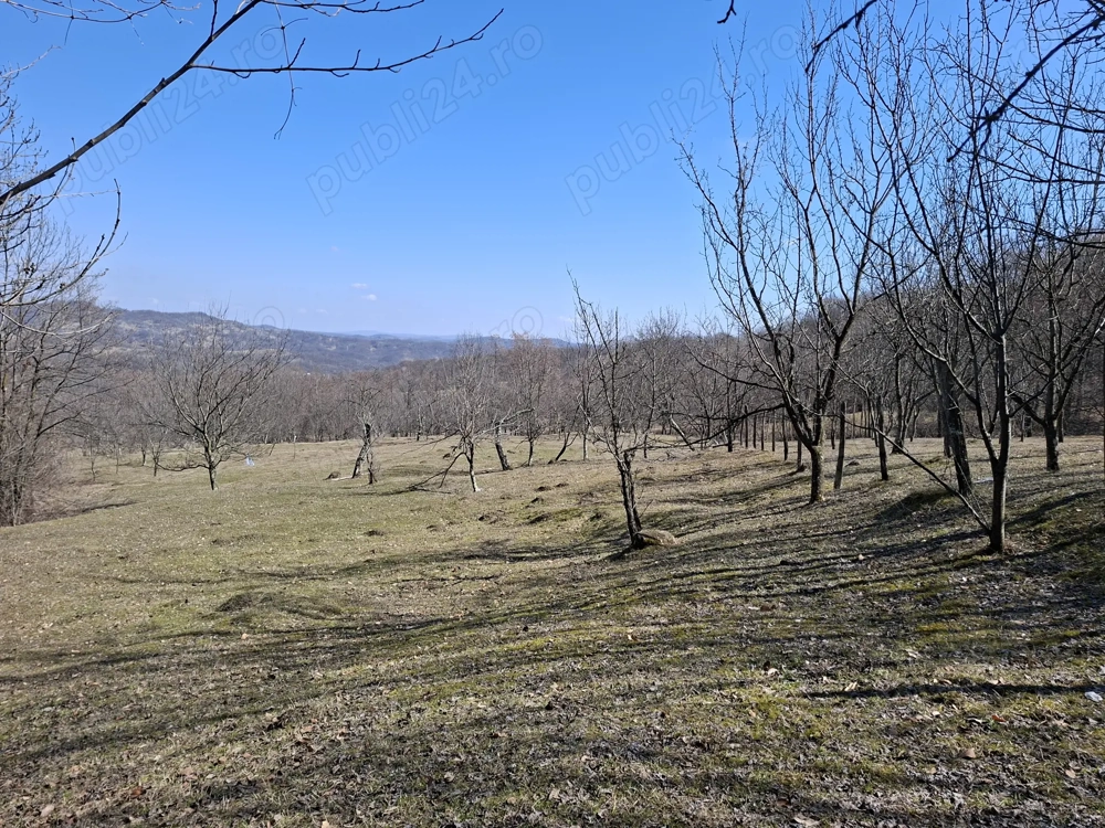 Vând teren livadă și fâneață 