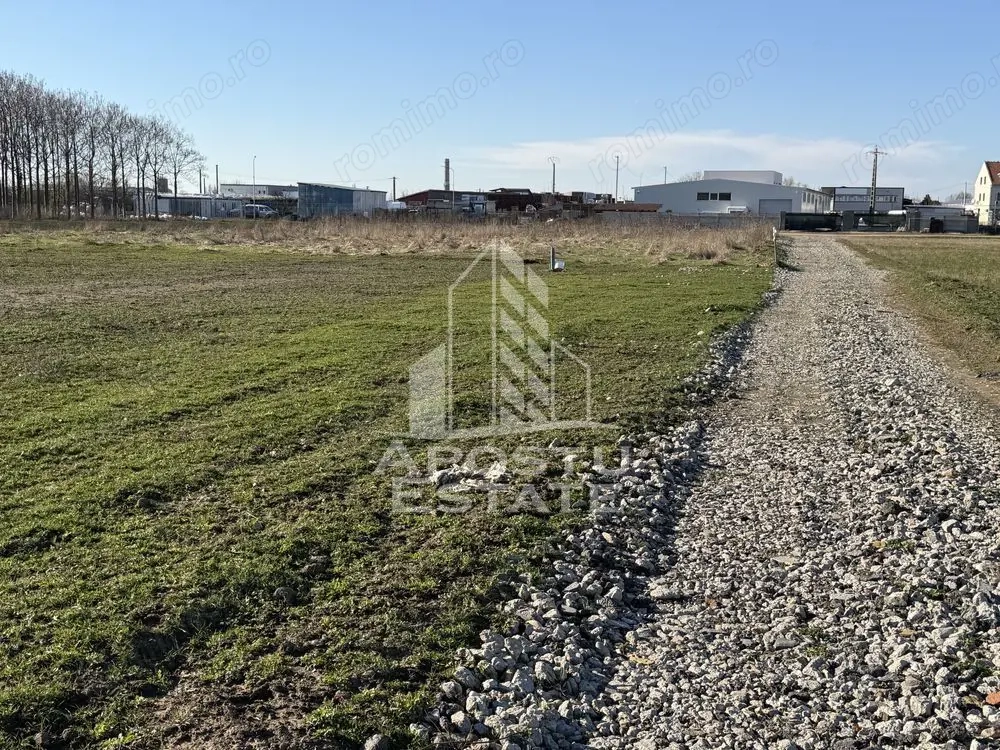 Teren pentru hala industriala, 1431 mp, Sagului- Ovidiu Cotrus