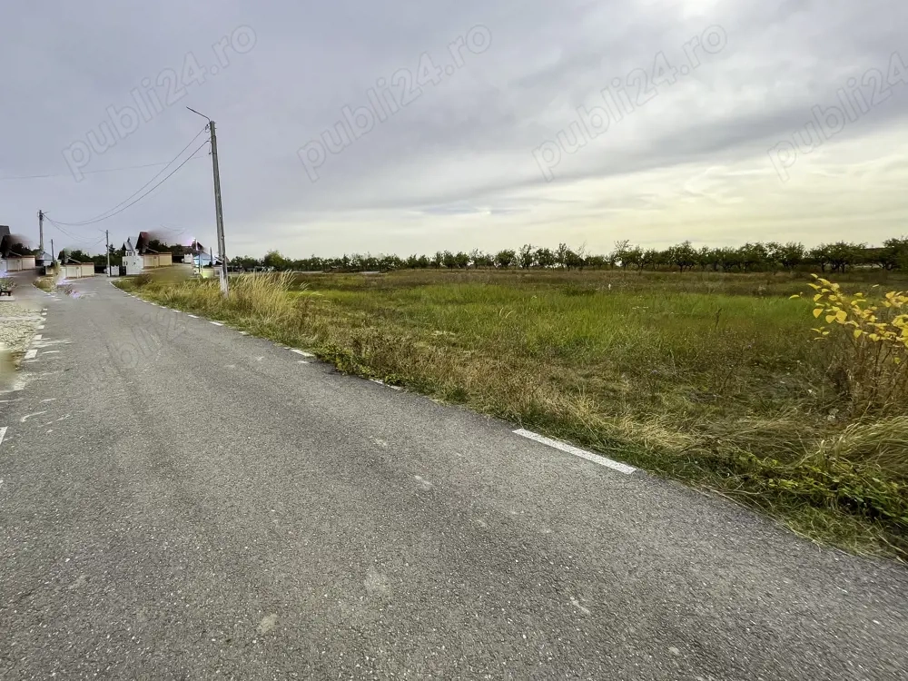 Teren Intravilan Albota Arges