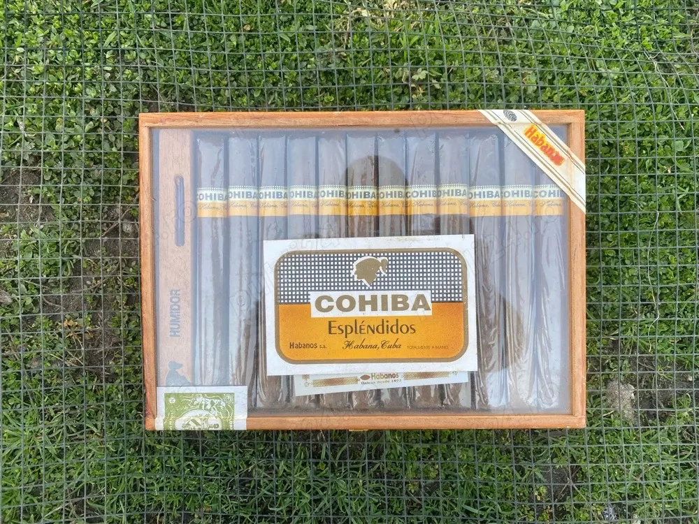 Cohiba Esplendidos 25 Robustos  trabucuri cubaneze
