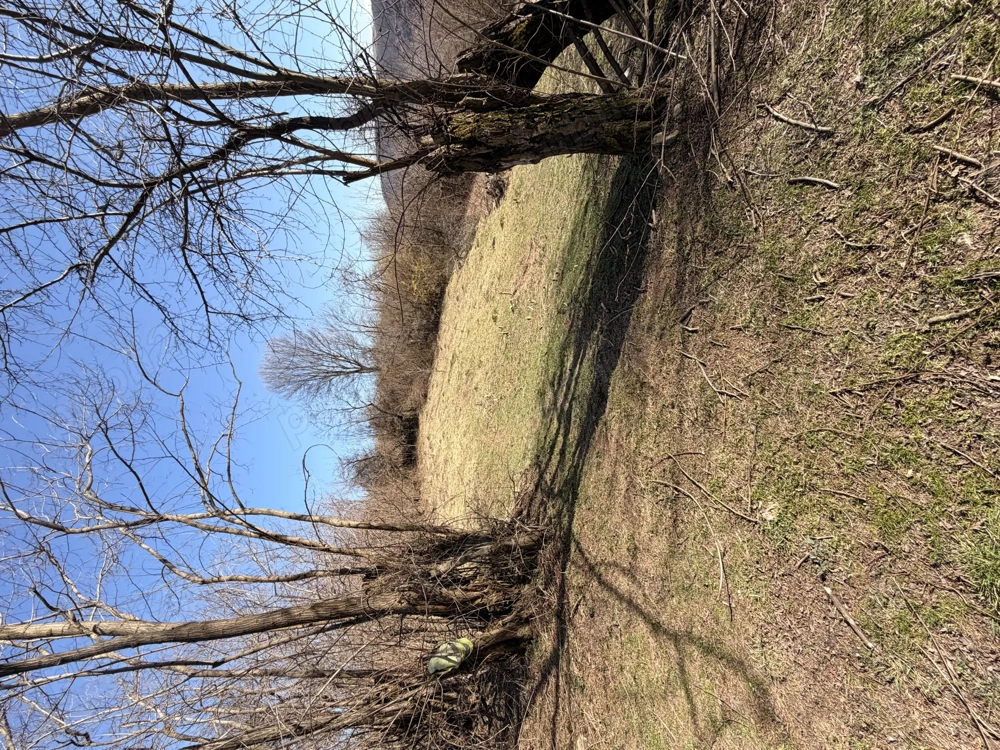 Vand Teren 2700m3 in Comuna Lelese Jud Hunedoara